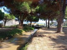 Piogge record a Portoferraio, il Fosso della Concia al limite dell’esondazione