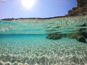 La Foto del Giorno (17 mar.)