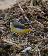 La Foto del Giorno (23 dic.)