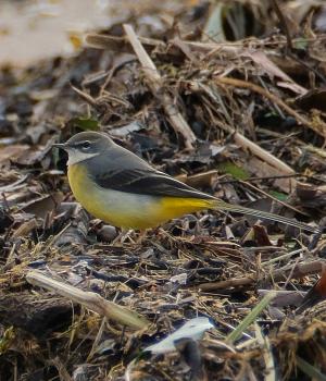 La Foto del Giorno (23 dic.)