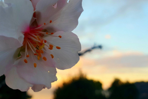 La Foto del Giorno (23 feb.)