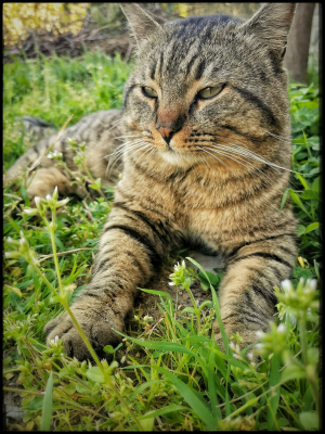 La Foto del Giorno (3 apr.)