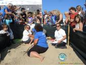 Tartarughe marine: conclusa la stagione delle nidificazioni all’Elba, continua l’avventura ambientale e scientifica