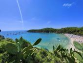 Quadro della situazione attuale sulla gestione del servizio idrico all'Elba