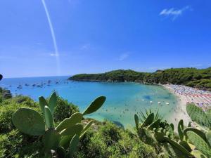 Quadro della situazione attuale sulla gestione del servizio idrico all&#039;Elba