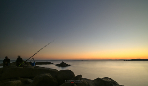 La Foto del Giorno (26 dic.)