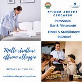 Si ricerca personale per bar, alberghi e ristoranti