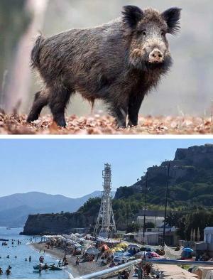 Il giorno del “Dono Ungulato”