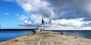 La Foto del Giorno (27 mar.)