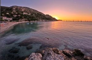 La Foto del Giorno (8 sett.)