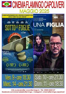 I film in programma al Cinema Flamingo