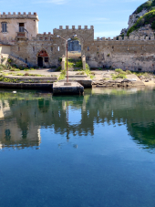 La Foto del Giorno (5 sett.)