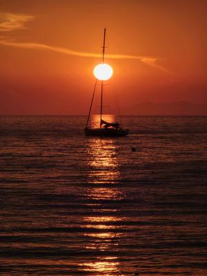 La Foto del Giorno (24 giu.)