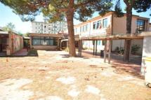 Topi nell'edificio scolastico della "Pascoli" a Portoferraio, ora è un'emergenza