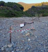 Di nuovo fruibile la spiaggia di Fonza: rimosso l'ordigno bellico