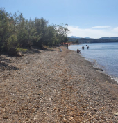 Progetto Life Sea.Net: una serie di eventi per la conservazione e la sensibilizzazione ambientale nell'Arcipelago