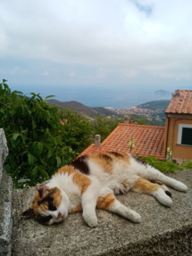 La Foto del Giorno (24 giu.)