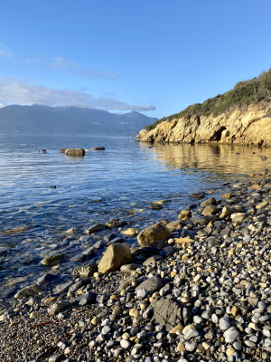 La Foto del Giorno (27 gen.)