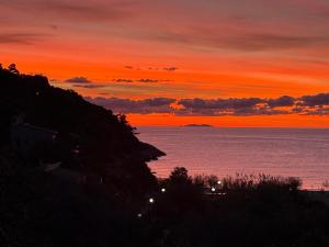 La Foto del Giorno (15 gen.)