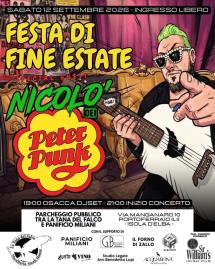 La storia del punk rock italiano all'Elba. Nicolò dei Peter Punk in concerto a Portoferraio