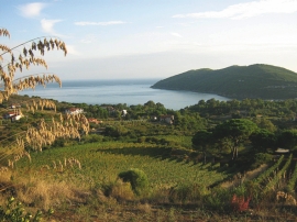 Arcipelago Toscano, il futuro delle sette isole sta nella condivisione