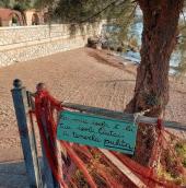Rio - il pulitore silenzioso e solitario della spiaggia