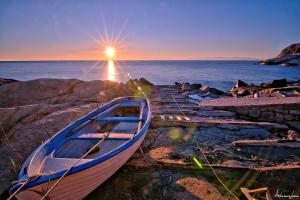 La Foto del Giorno (14 feb.)