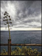 La Foto del Giorno (26 nov.)