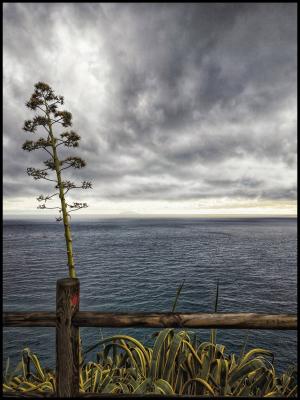 La Foto del Giorno (26 nov.)