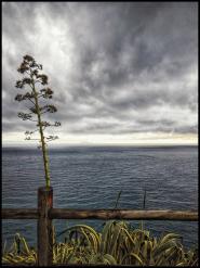 La Foto del Giorno (26 nov.)