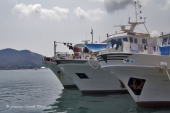 Aumentate le giornate di fermo per la pesca a strascico, i sindacati: “settore a rischio, temiamo contraccolpi occupazionali”