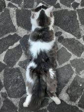 La Foto del Giorno (30 giu.)