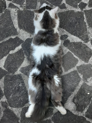 La Foto del Giorno (30 giu.)