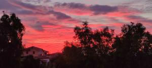 La Foto del Giorno (20 ott.)