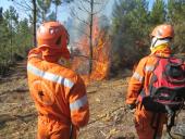Rischio incendi, prorogato fino al 21 settembre il divieto di abbruciamento