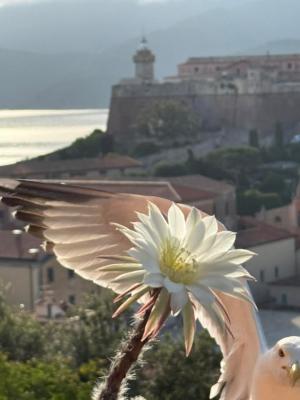 La Foto del Giorno (28 mag.)