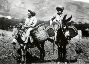 ELBANI BRAVA GENTE? EPILOGO