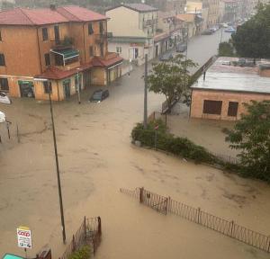 Dopo l&#039;alluvione c&#039;è da rimboccarsi le maniche