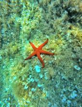 La Foto del Giorno (7 giu.)