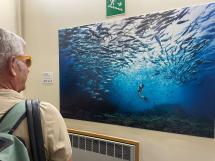 Il mare che cura, cura il mare - Installazione permanente all’Ospedale di Portoferraio