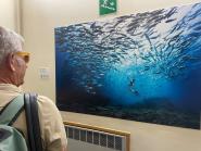 Il mare che cura, cura il mare - Installazione permanente all’Ospedale di Portoferraio