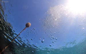 La Foto del Giorno (27 giu.)