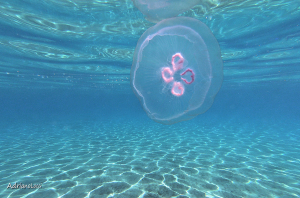 La Foto del Giorno (17 ott.)