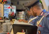 Attività straordinarie di controllo del territorio da parte dei Carabinieri elbani