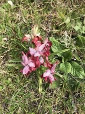 La Foto del Giorno (28 feb.)