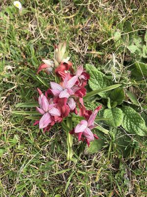 La Foto del Giorno (28 feb.)