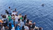 Corso di formazione per l’ottenimento del marchio High Quality Whale Watching