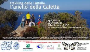 Trekking delle farfalle: domenica 3 agosto l’anello della Caletta a Marciana Marina