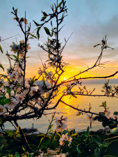 La Foto del Giorno (3 feb.)