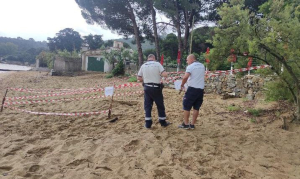 La Capitaneria di porto mette in sicurezza l'area della nidificazione di tartaruga
